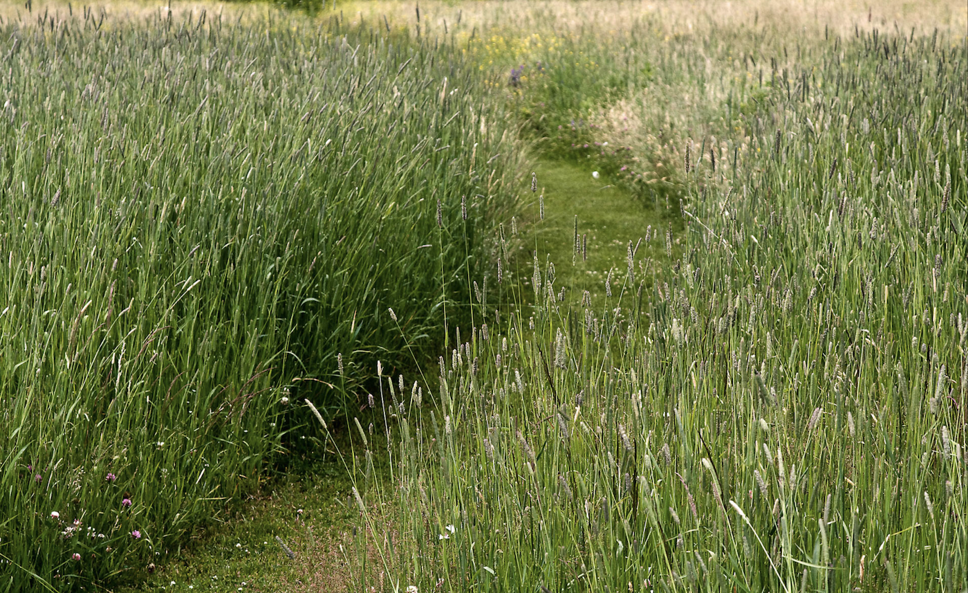 natural lawns, michael cunningham landscape design